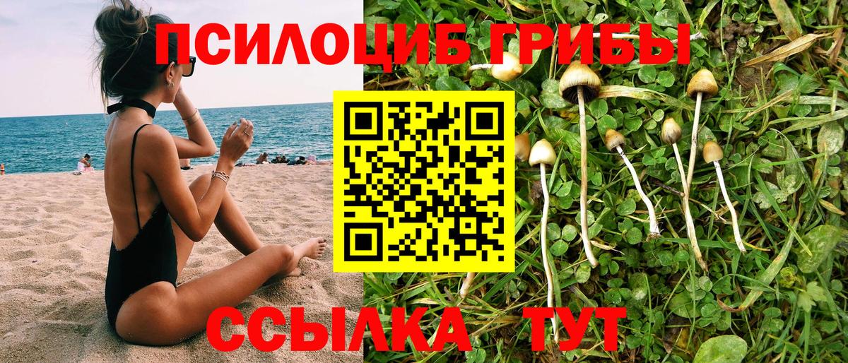 Псилоцибиновые грибы ЛСД Отрадный